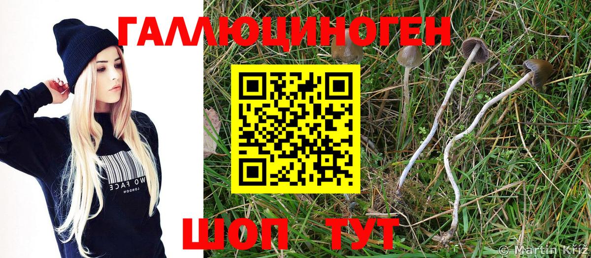 Псилоцибиновые грибы Magic Shrooms Протвино