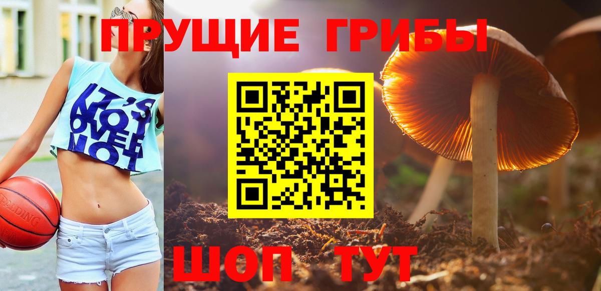 Галлюциногенные грибы Cubensis  Галлюциногенные грибы Magic Shrooms  Протвино  Вход с VPN 